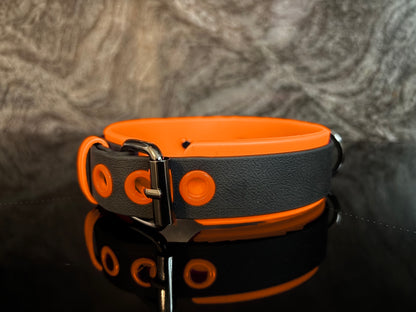 Neon Shadow Collar