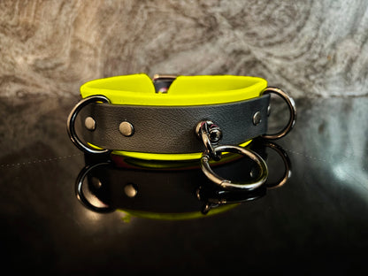 Neon Shadow Collar