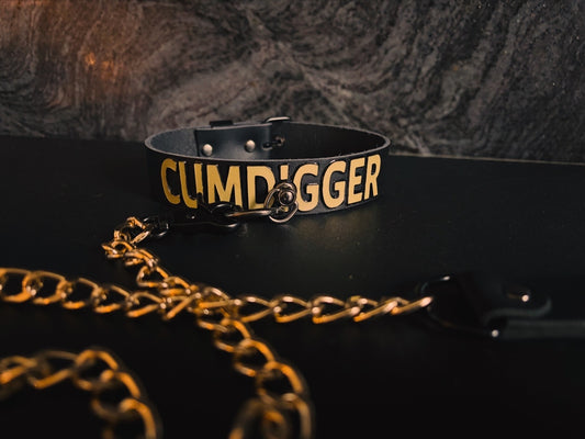 Leather Leash
